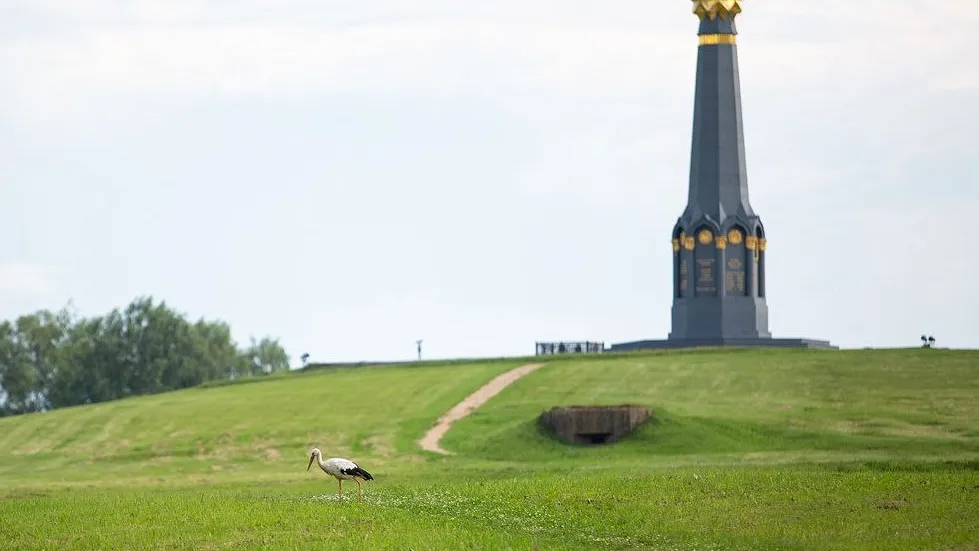 Фото: t.me/borodino1812