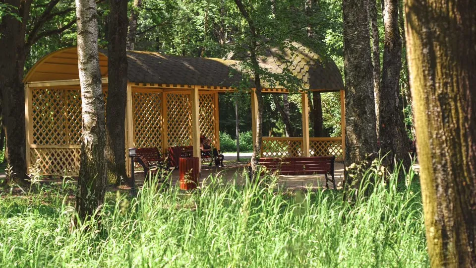 Фото: пресс-служба администрации г.о. Химки