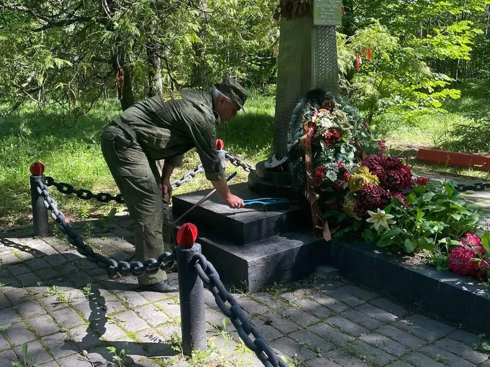 Фото: Комитет лесного хозяйства Московской области
