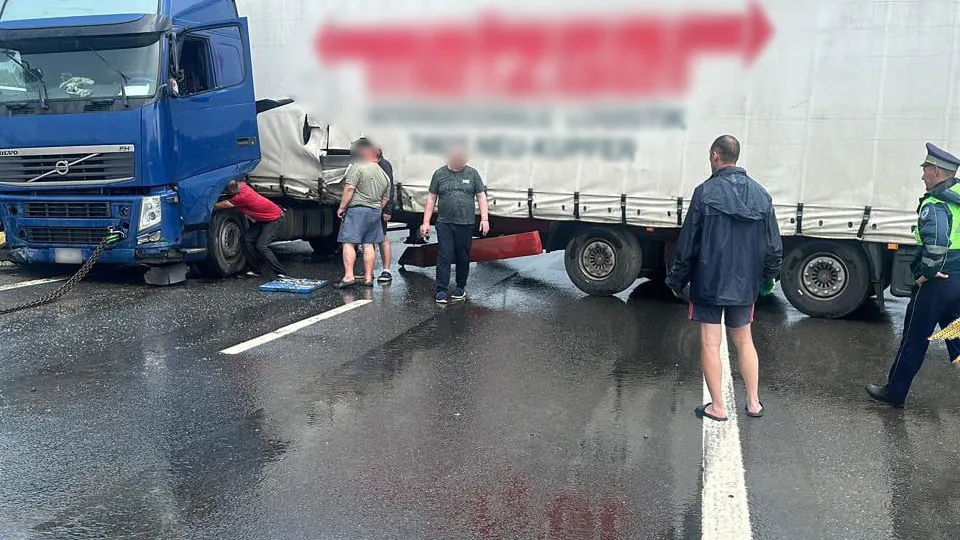 Фото: пресс-служба ГУ МВД России по Московской области