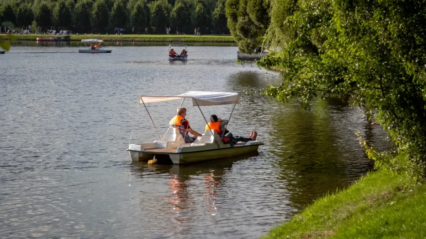 Фото: Shutterstock