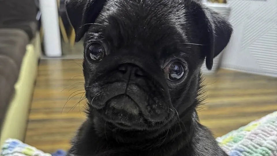 Фото: REGIONS/Анастасия Малышенко