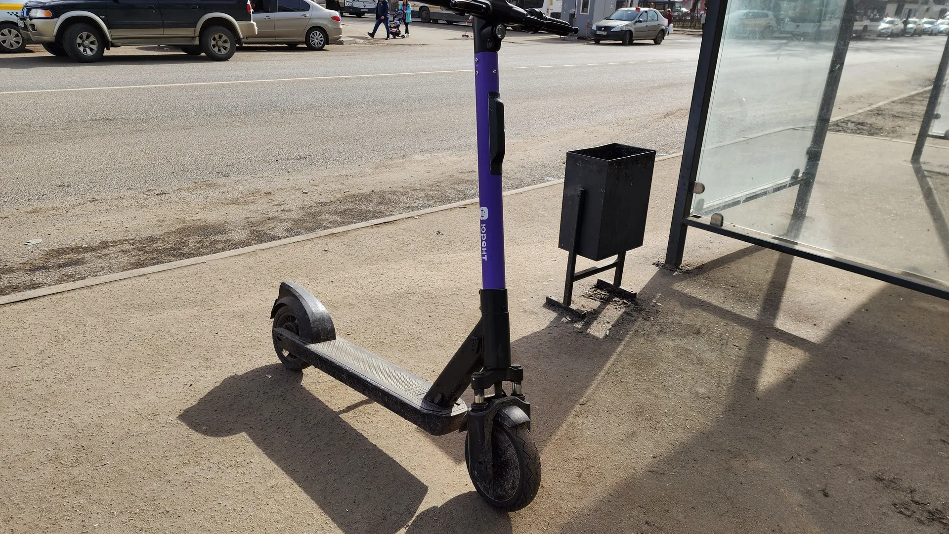 Фото: МедиаБанк Подмосковья/Ольга Аввакумова