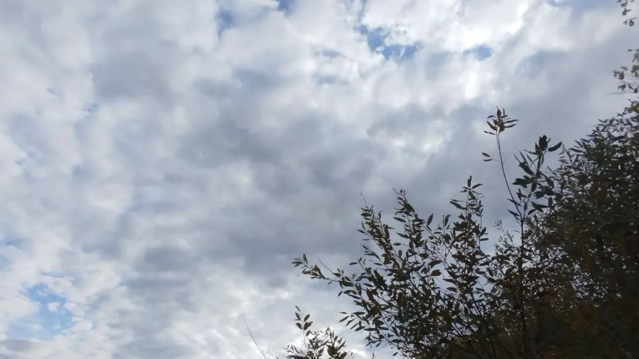 Фото: REGIONS/Юлия Куделькина