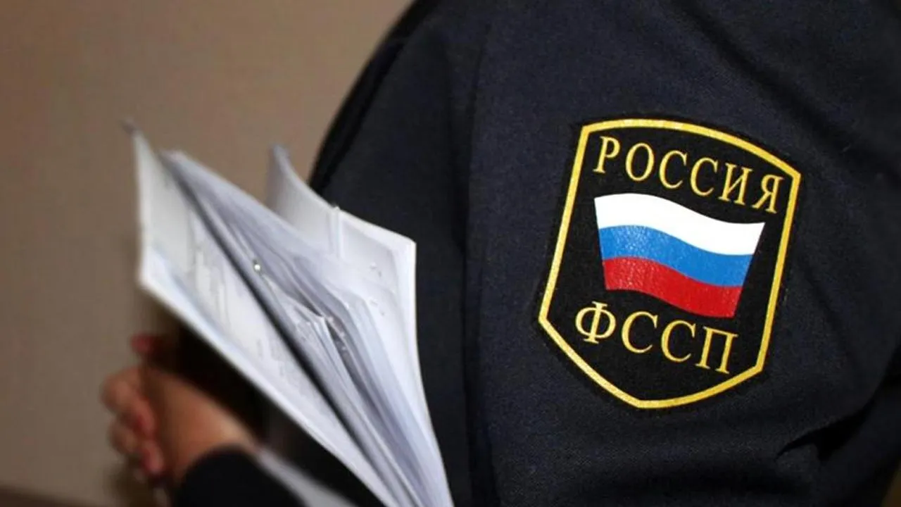 пресс-служба ГУФССП России по Московской области