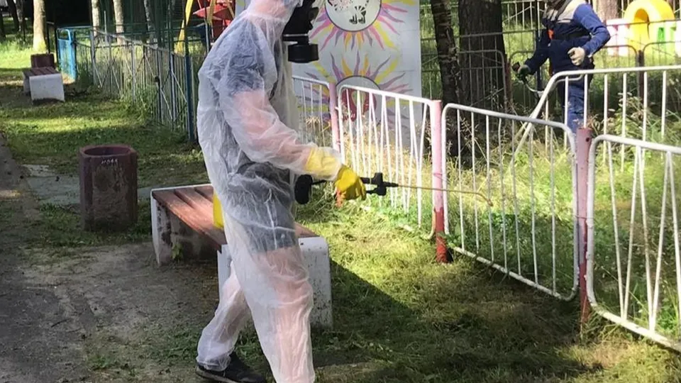 Фото: Пресс-служба администрации г.о. Жуковский