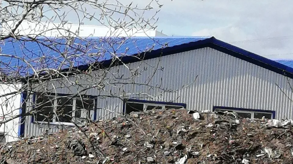 Фото: соцсети