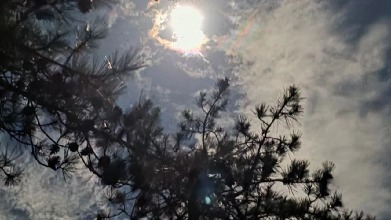 Фото: REGIONS/Анастасия Широкая