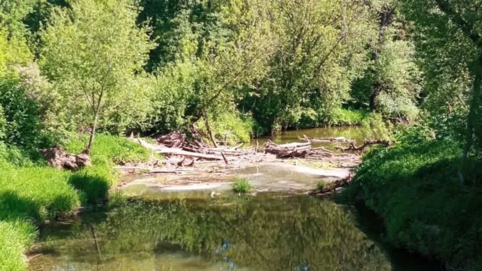 Фото: vk.com/Лотошино и лотошинцы