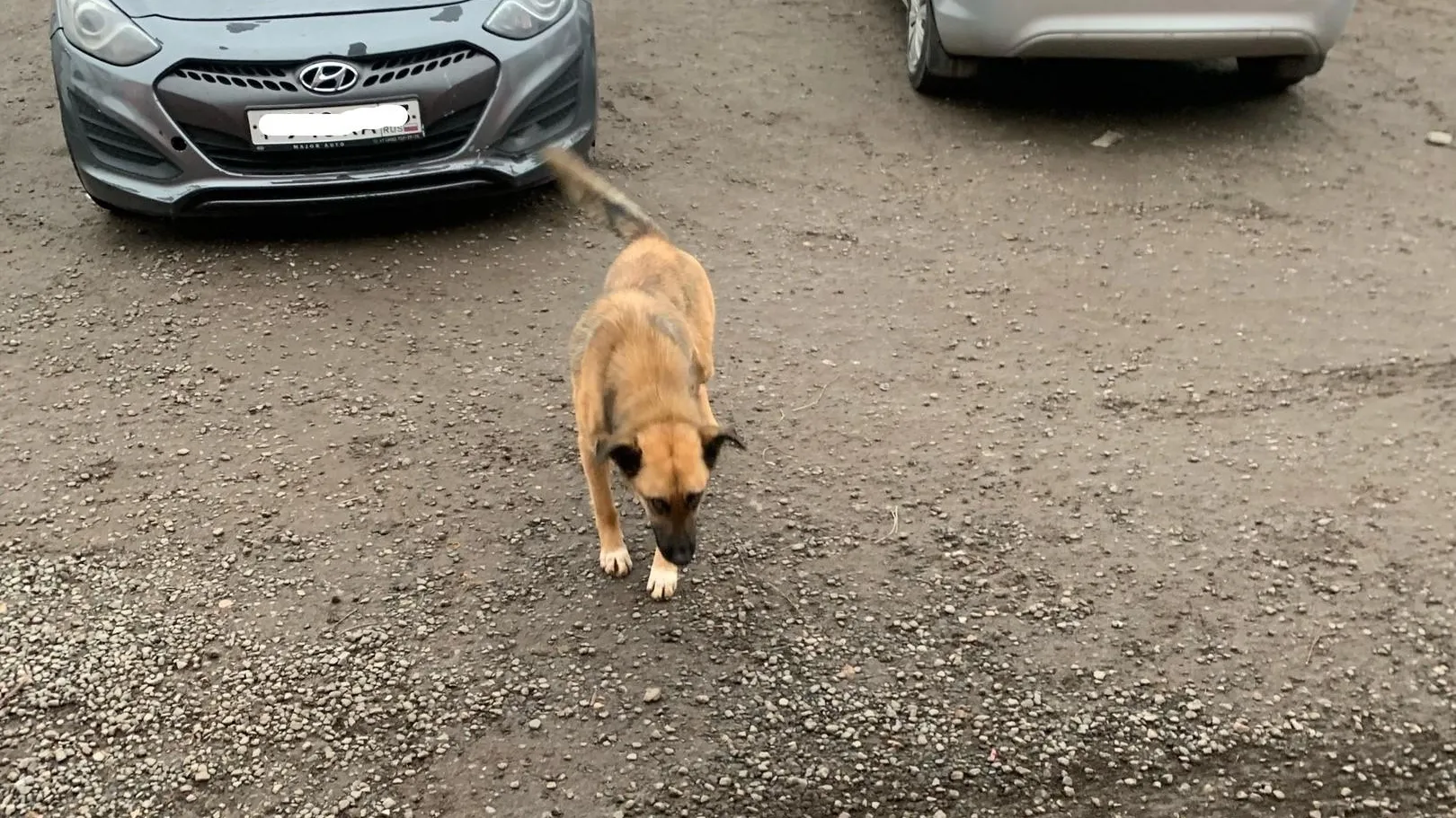 Фото: Подслушано Можайск / ВКонтакте