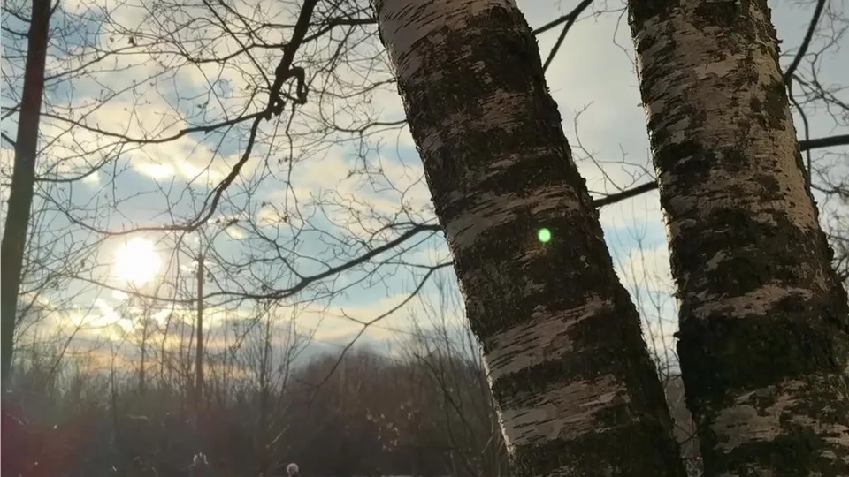 Фото: МедиаБанк Подмосковья/Ксения Казакова