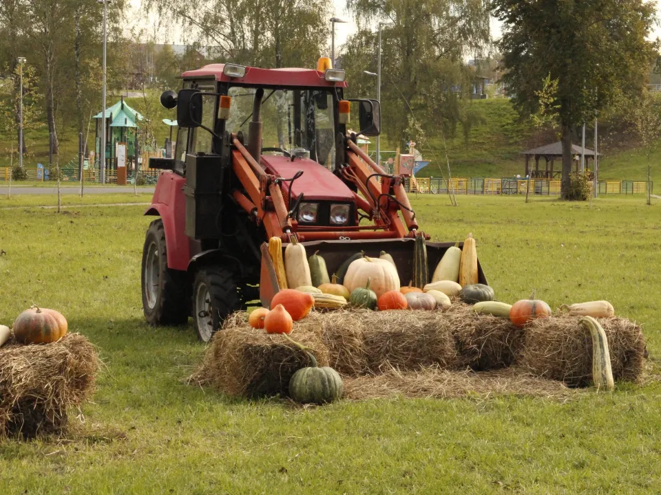 Фото: vk.com / Парк «Ривьера» | Можайск