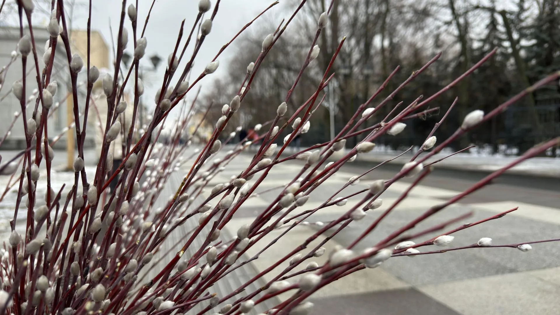 REGIONS/Александр Легкий