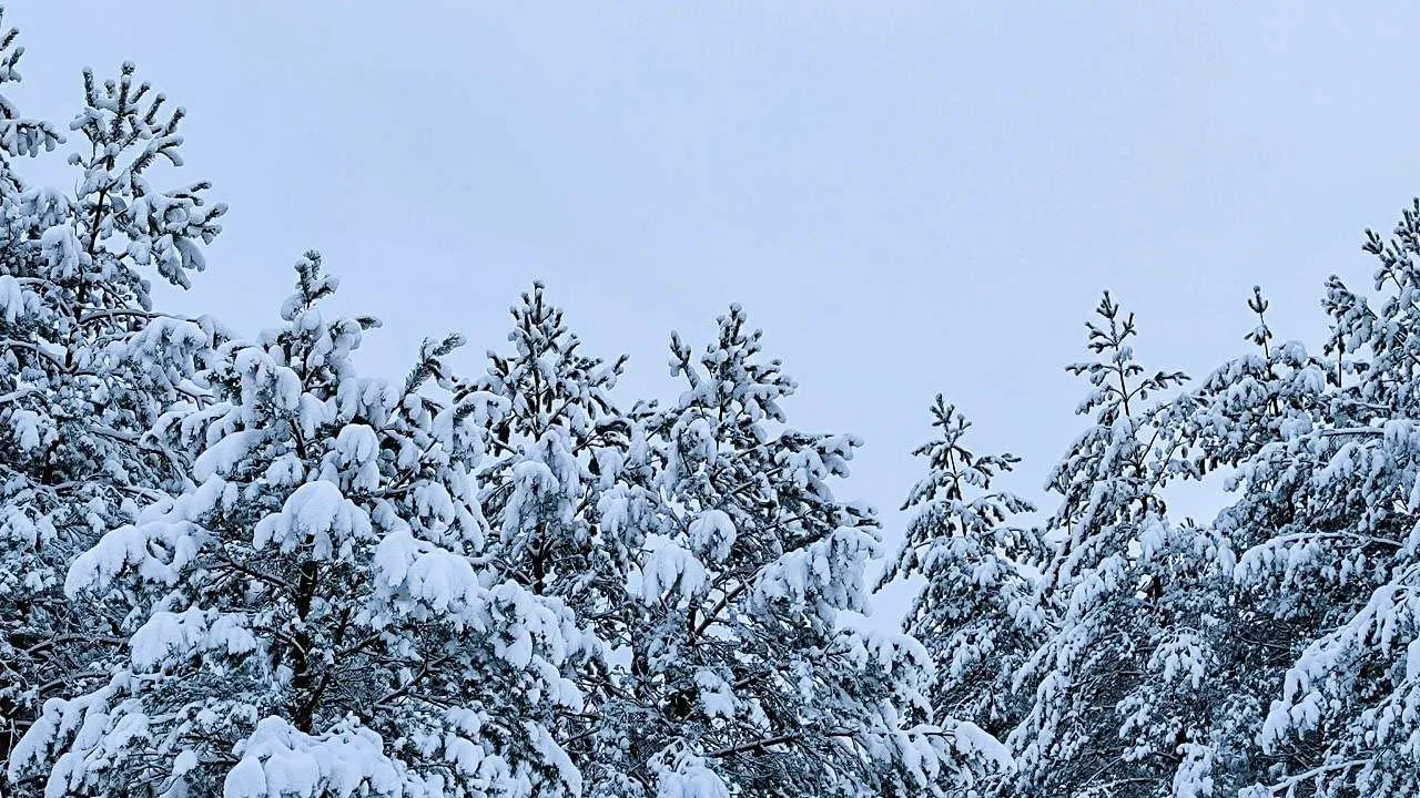 REGIONS/Роман Малышенко