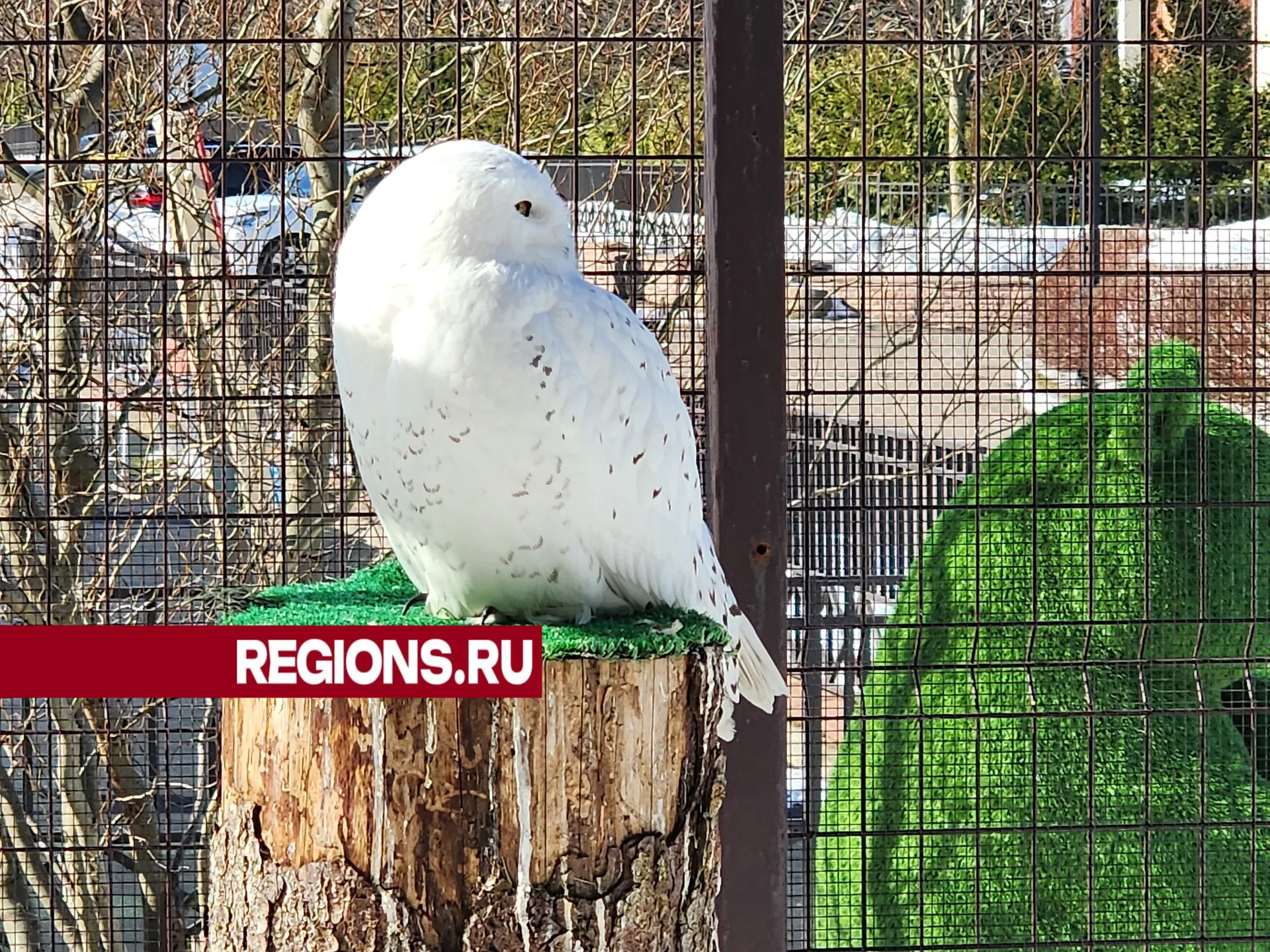 Фото: Светлана Борщева