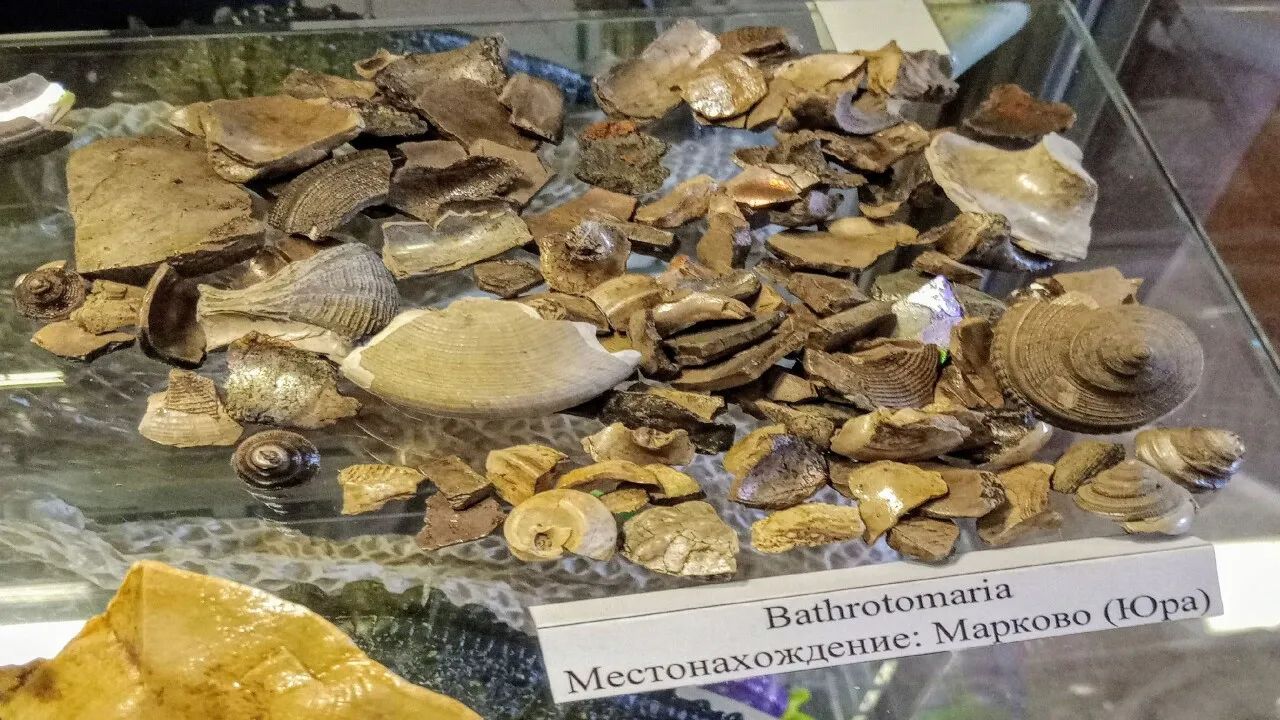 Фото: Вячеслав Смирнов