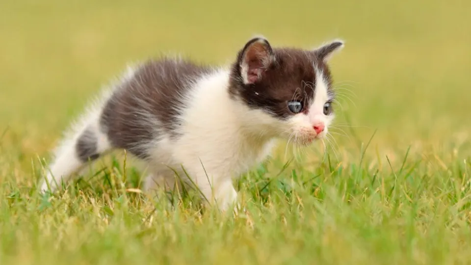 Фото: freepik.com