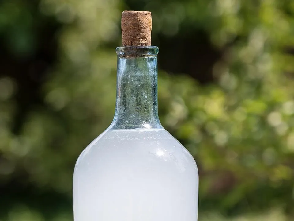 Яд за 100 рублей: как торговцы самогоном из Ленобласти ответят за смерть 19 человек