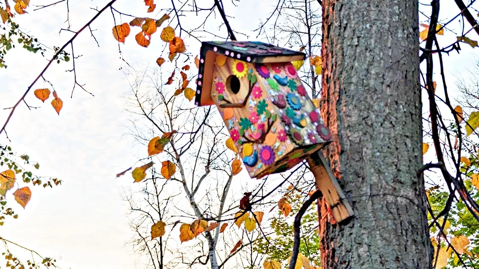 Фото: REGIONS/Алексей Селиверстов