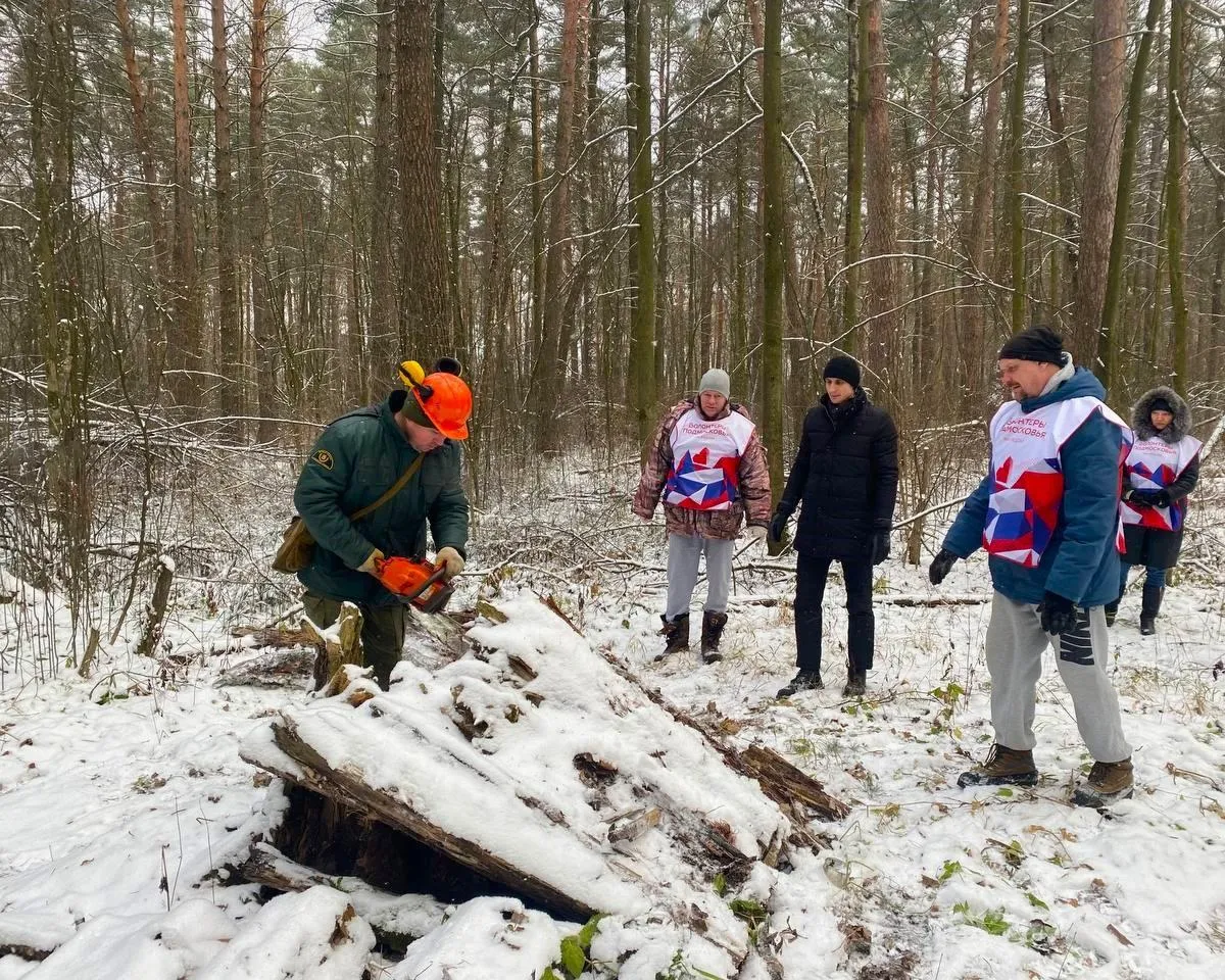 Фото: Комитет лесного хозяйства Московской области