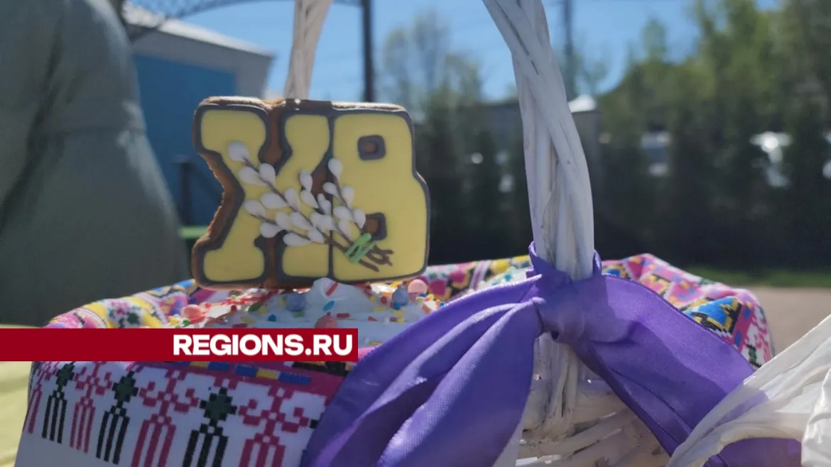 Фото: Алена Притула