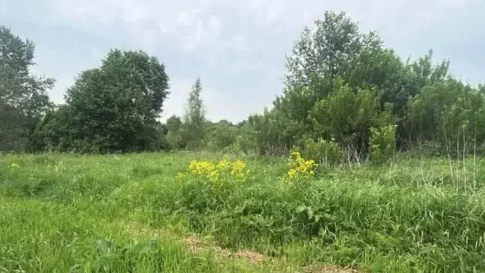 Фото: Единый портал торгов МО ЕАСУЗ