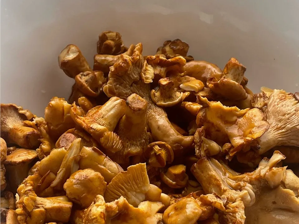 Фото: Михаил Петров