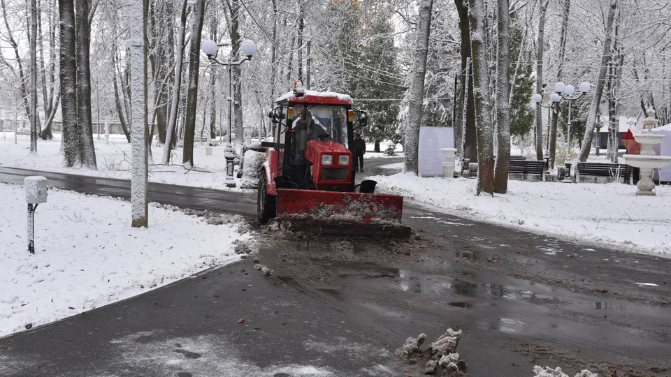 Фото: МедиаБанк Подмосковья/Владимир Останин