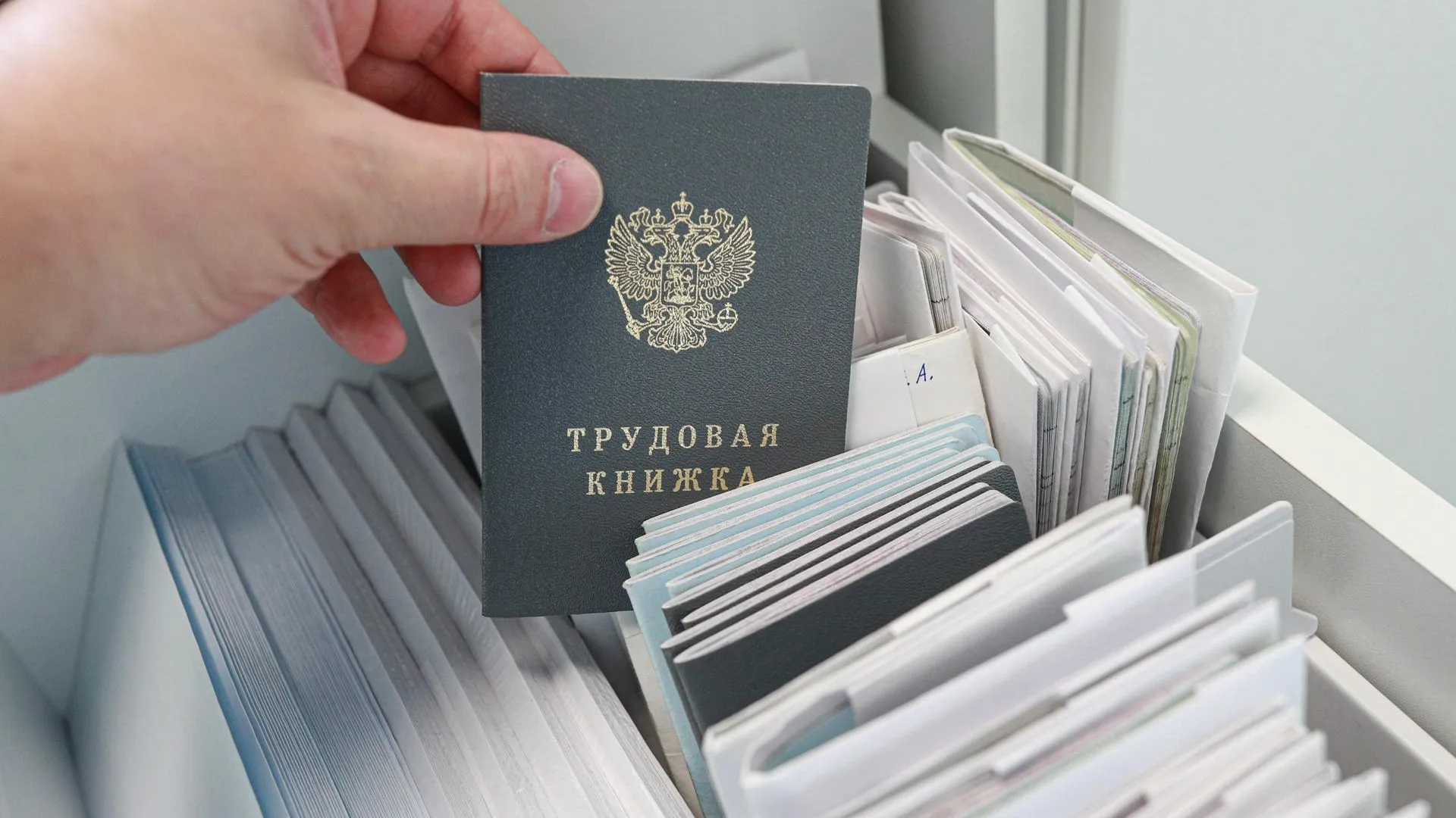 Bulkin Sergey/news.ru