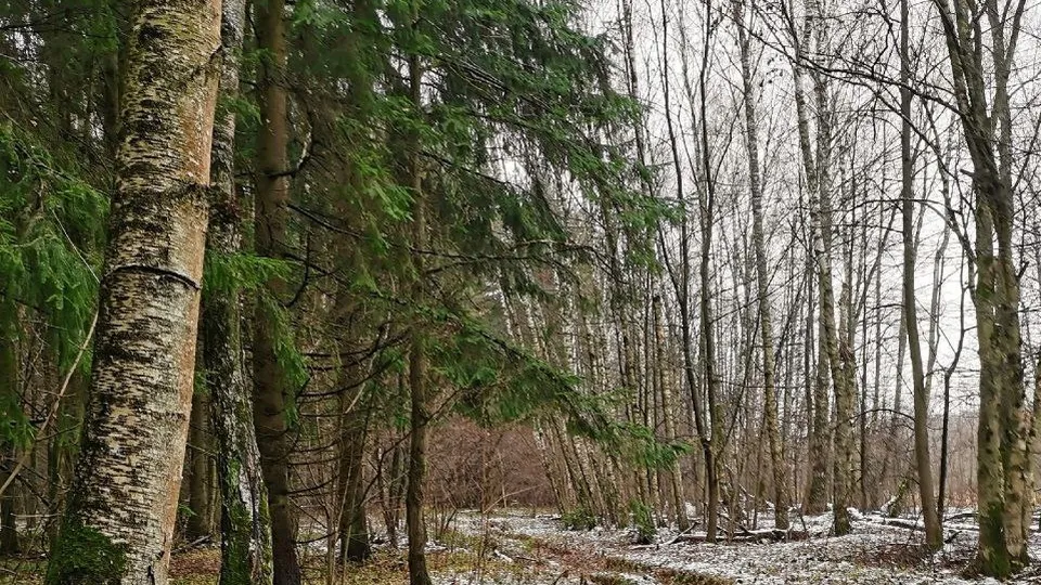Фото: Константин Кошелев