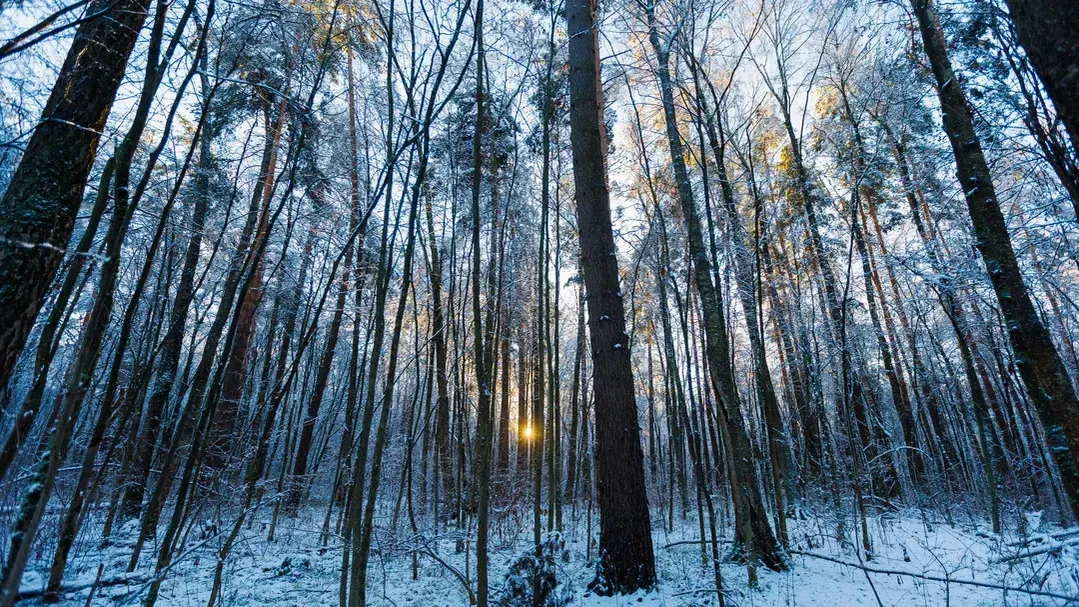 медиасток.рф