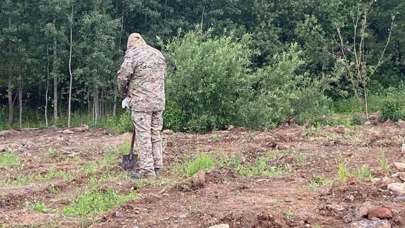 Фото Минэкологии МО.