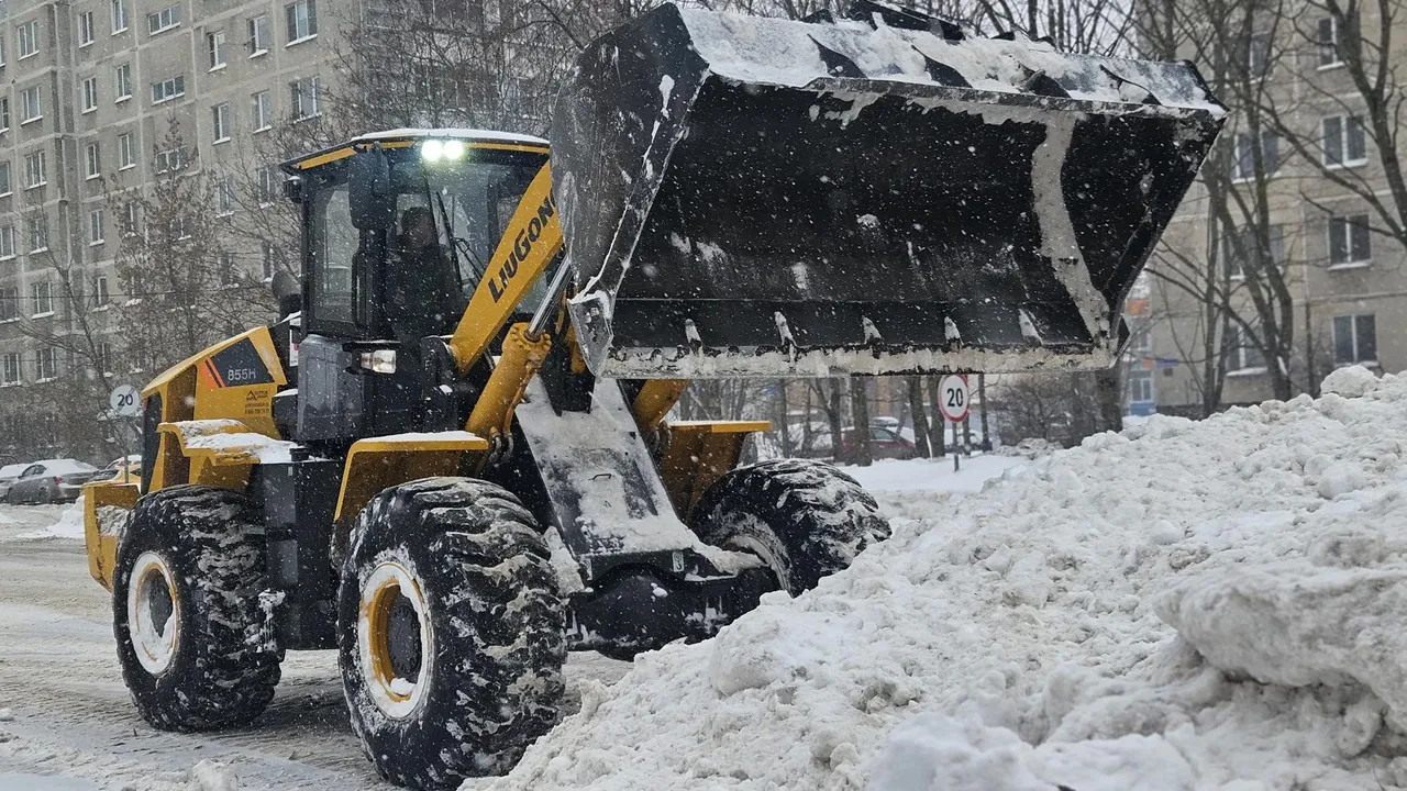 МедиаБанк Подмосковья/Ольга Вельшикаева