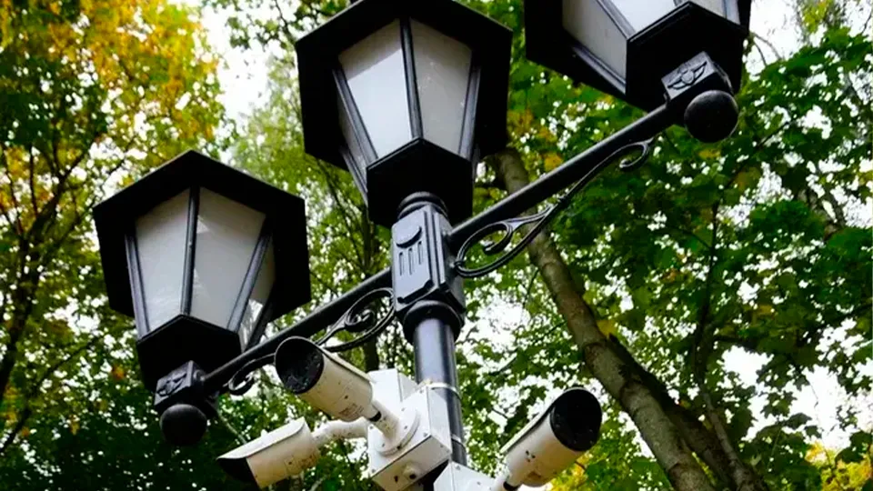 Фото: Министерство благоустройства МО