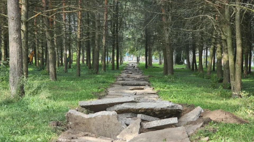 Фото: Мария Панина