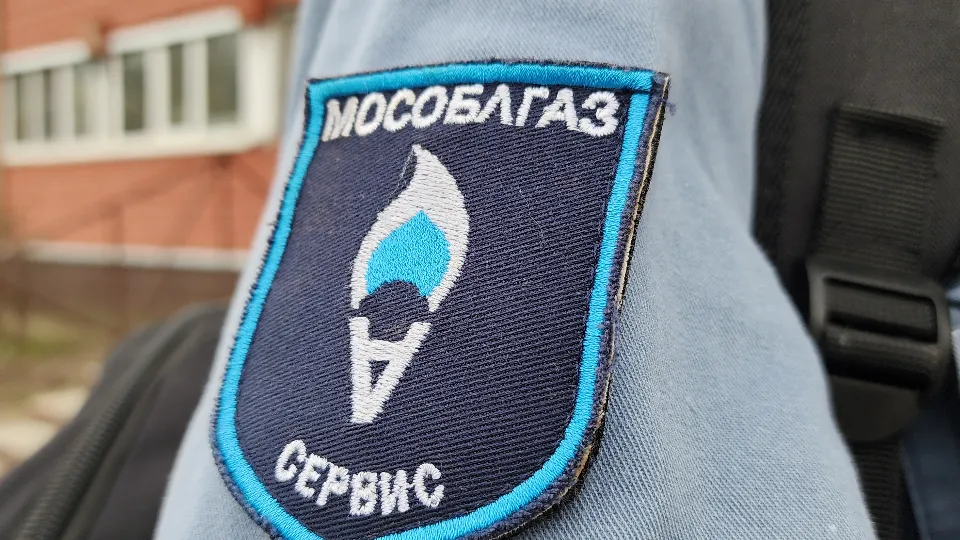 Фото: МедиаБанк Подмосковья/Валерия Тингаева