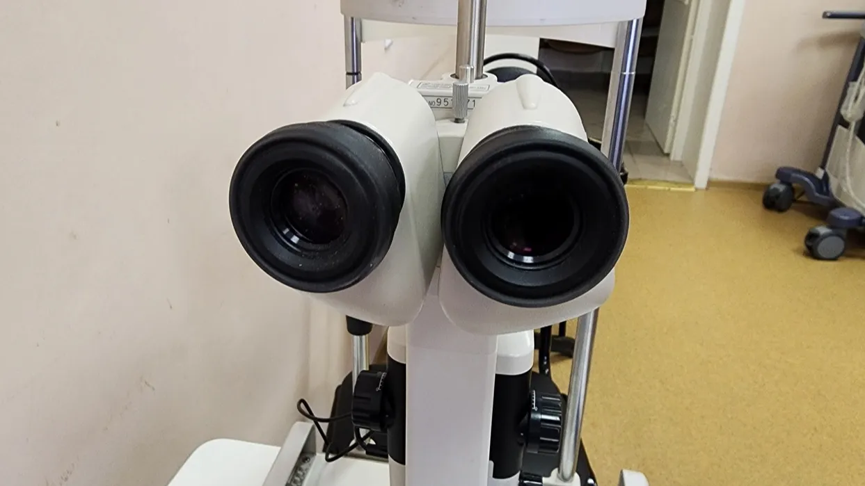 Фото: Евгений Лавряшин