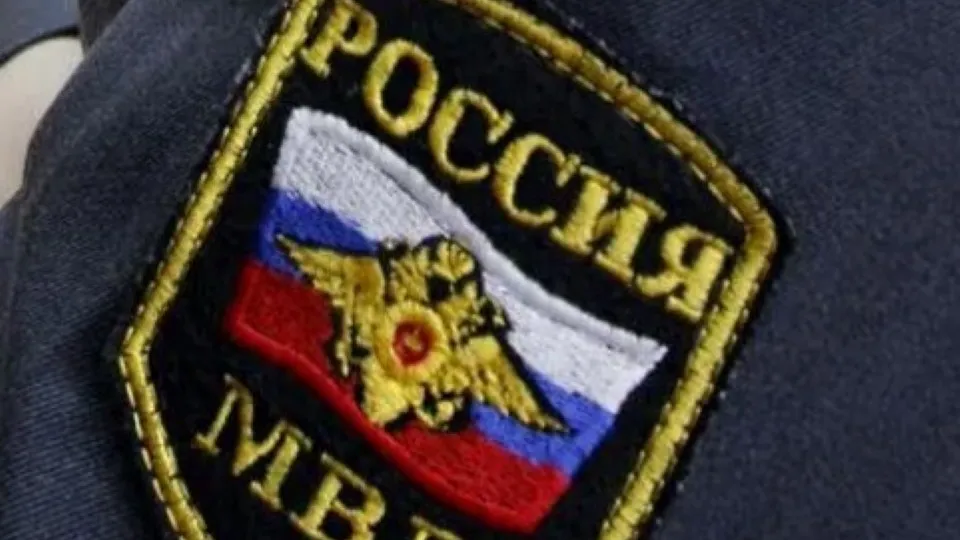 Фото: ГУ МВД по Московской области