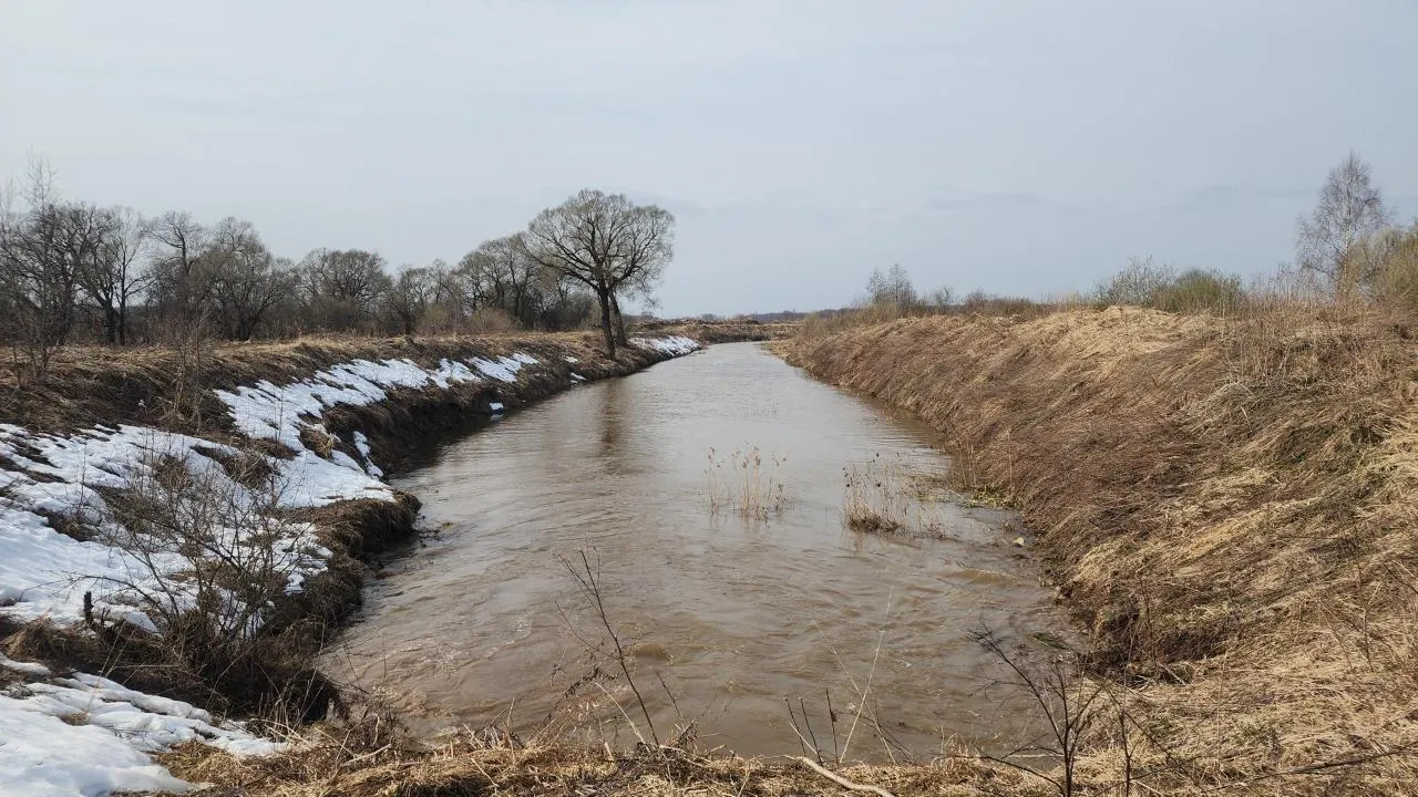 МедиаБанк Подмосковья/Дмитрий Беденко