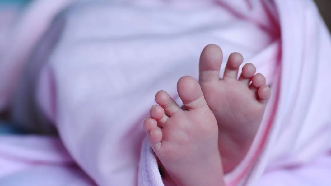 Фото: pxhere.com