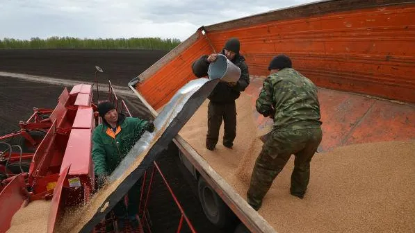 В области в 2014 году втрое увеличат сев озимых культур