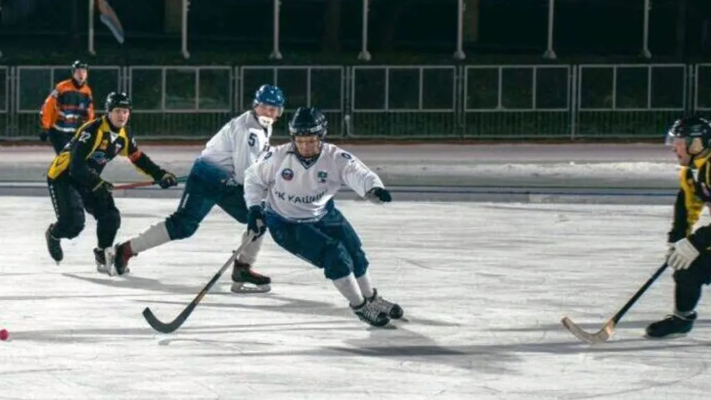 Фото: пресс-служба администрации г.о. Кашира