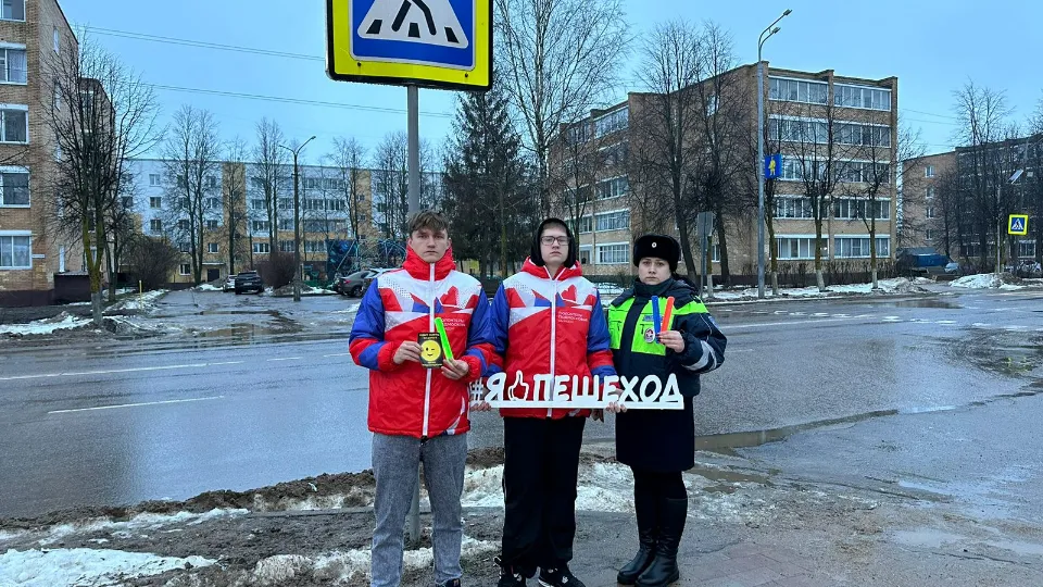 Фото: Отдел Госавтоинспекции ОМВД России «Лотошинский»