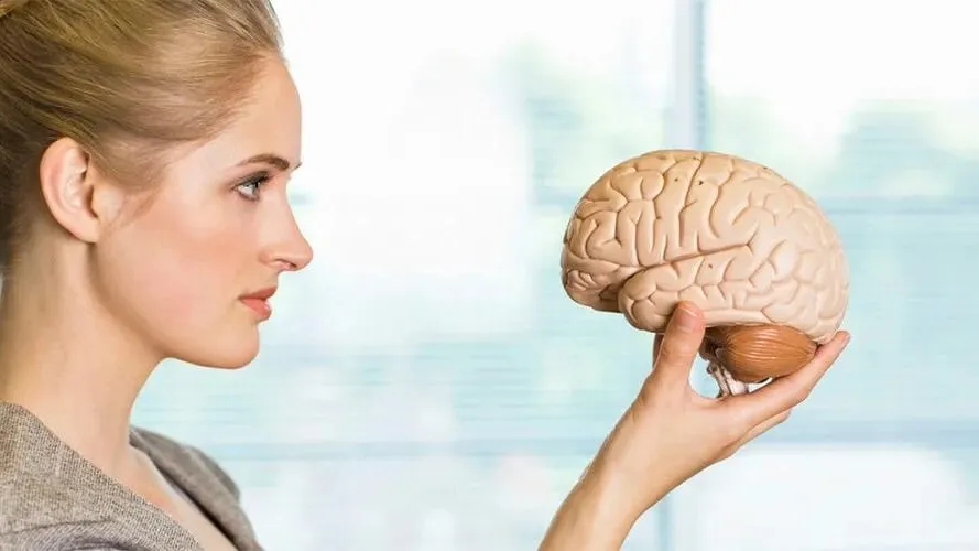 Источник: cytamins.ru