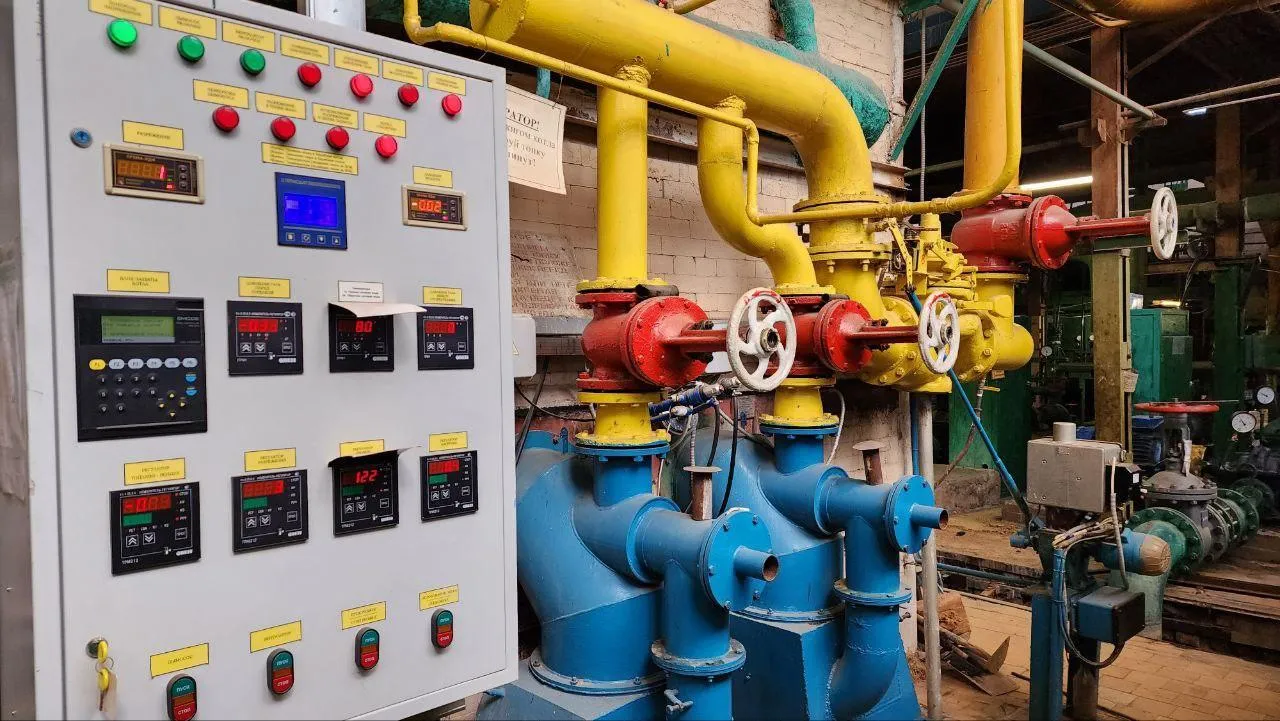 Фото: Валерия Тингаева