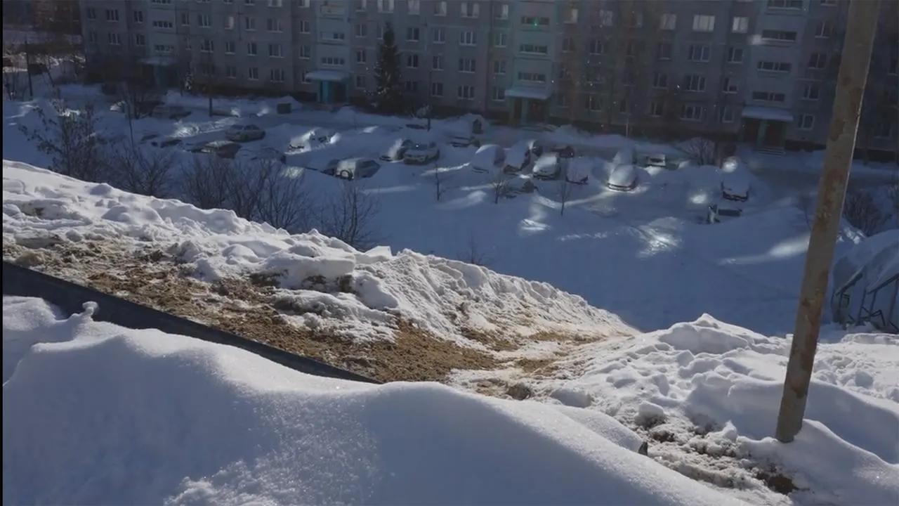 Щелковское телевидение