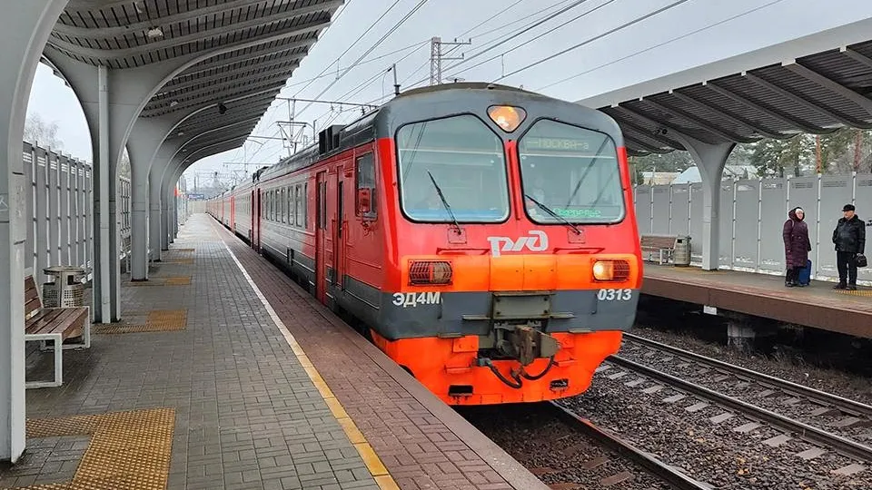 Фото: МедиаБанк Подмосковья/Андрей Семибратов