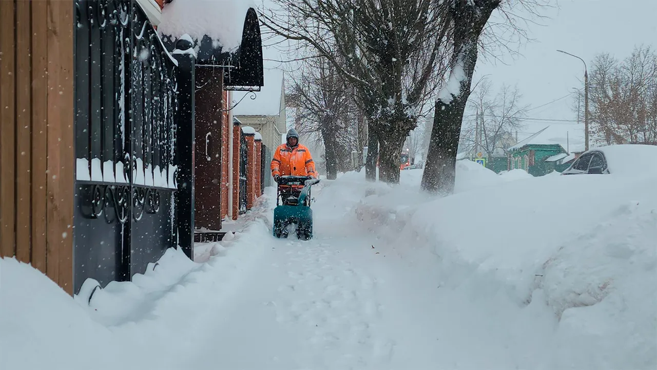 Маргарита Орлова