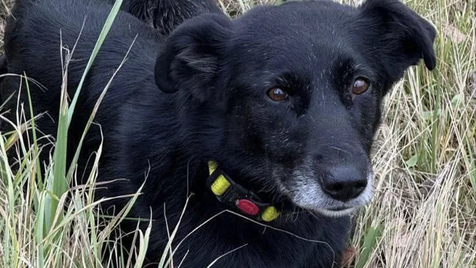 Фото: предоставлено волонтером Александрой Романовой