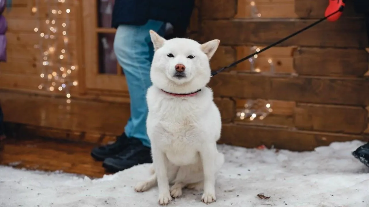 Министерство сельского хозяйства и продовольствия Московской области